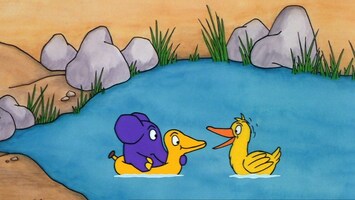 Elefant und Ente in einem Teich.