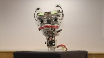  Roboter Mexi