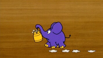 Elefant mit Milchkanne
