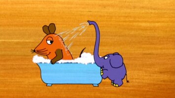 Elefant duscht Maus ab