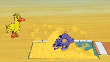 Elefant landet im Sand