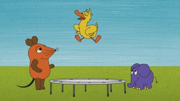 Die Ente springt auf einem Trampolin