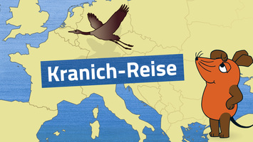 Kranich-Reise