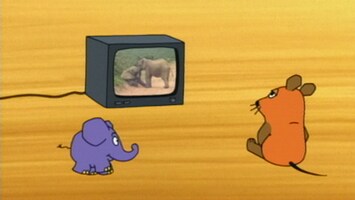 Die Maus schaut Fernsehen