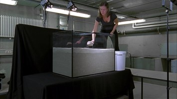 Frau in einem Labor mit einem mit Sand gefï¿½llten Aquarium