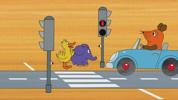 Elefant und Ente warten an einer roten Ampel