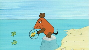 Maus lï¿½sst Fische durch einen Ring springen