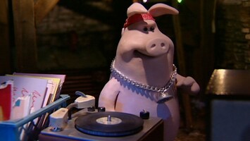Ein Schwein als DJ