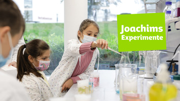 Keyvisual Joachims Experimente
