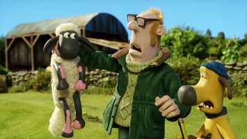 Shaun auf der Flucht