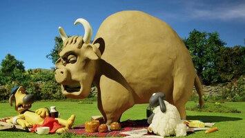 Der wilde Stier