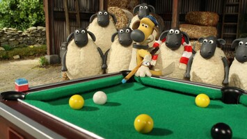 Bitzer Billard