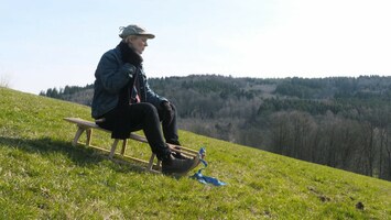 Laura sitzt auf einem Schlitten auf auf einem grï¿½nen Wiesenhang