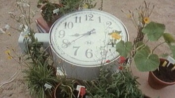 Eine Uhr zwischen Blumen