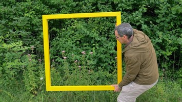 Biologe Gregor hï¿½lt einen gelben quadratischen Rahmen vor ein Stï¿½ck Natur