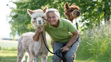 Lama und Alpaka