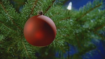 Christbaumkugel am Weihnachtsbaum