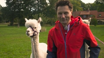 Andre auf einer Wiese, im Hintergrund steht ein weißes Alpaka