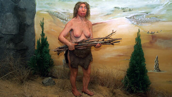 Eine lebensecht nachgebildete Neandertalerin auf der Suche nach Feuerholz