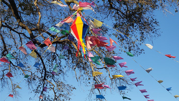 Bunte Girlanden in einer Baumkrone