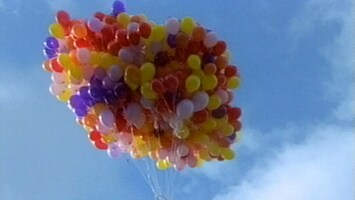 Viele bunte Ballons fliegen zum Himmel.