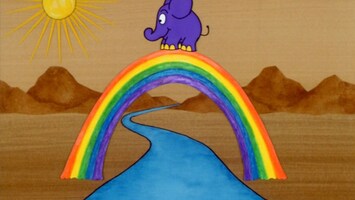 Elefant steht auf Regenbogen