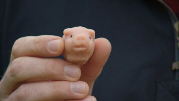 Eine Hand hï¿½lt ein rosanes Marzipanschwein