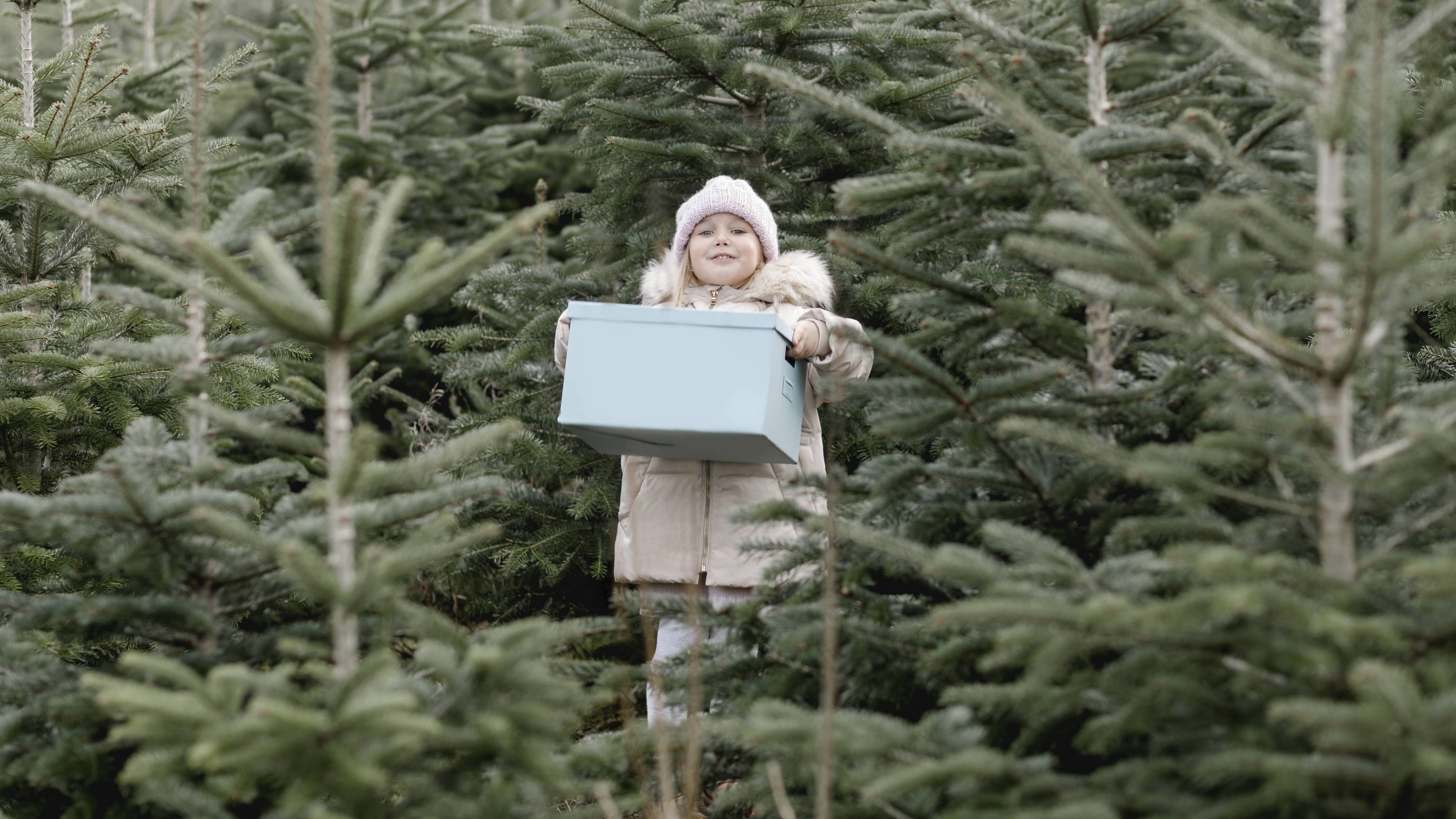 Strahlendes Mädchen mit einer Kiste steht inmitten eines Tannenbaum-Schonung