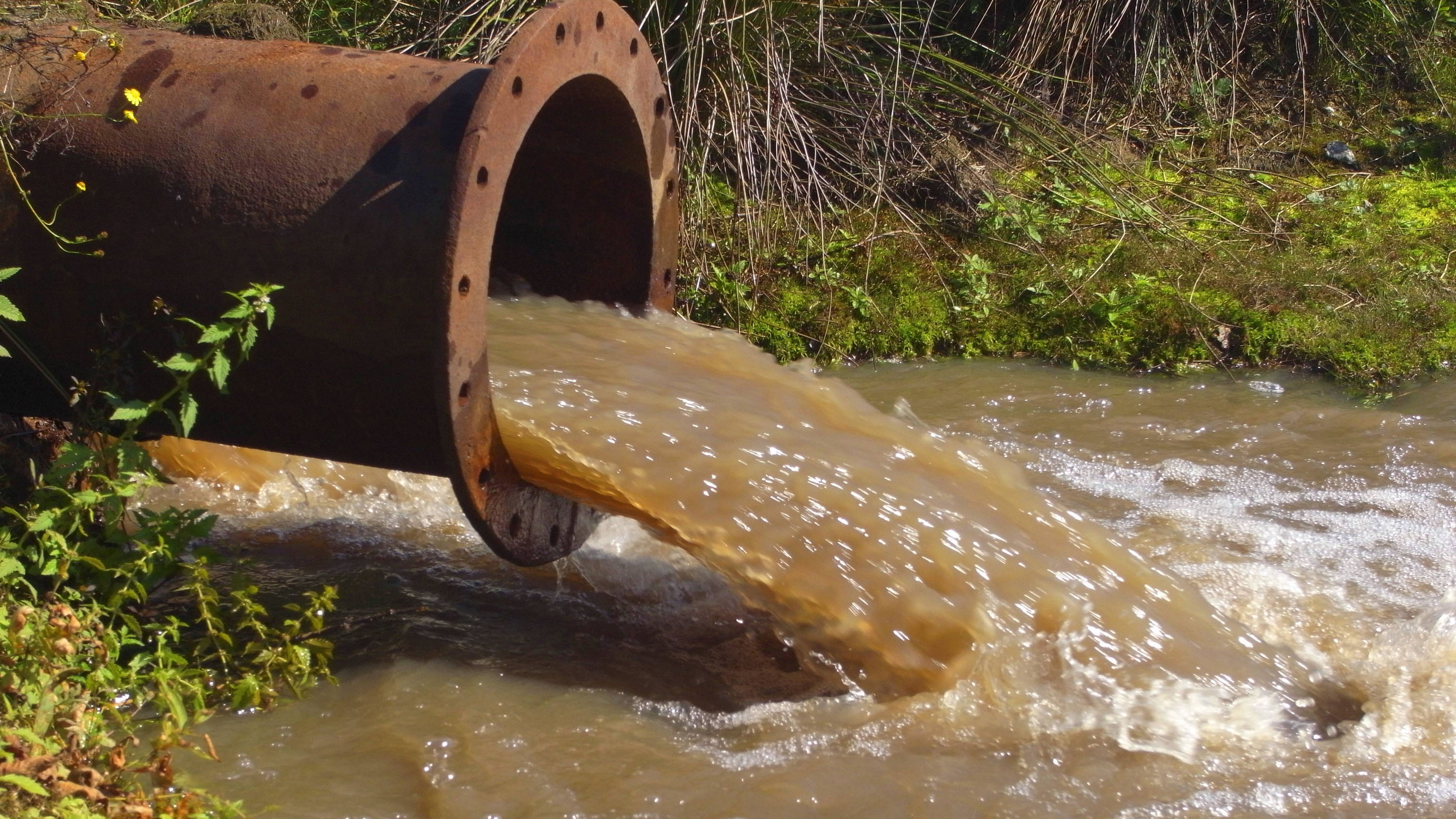 Сильно загрязненные воды