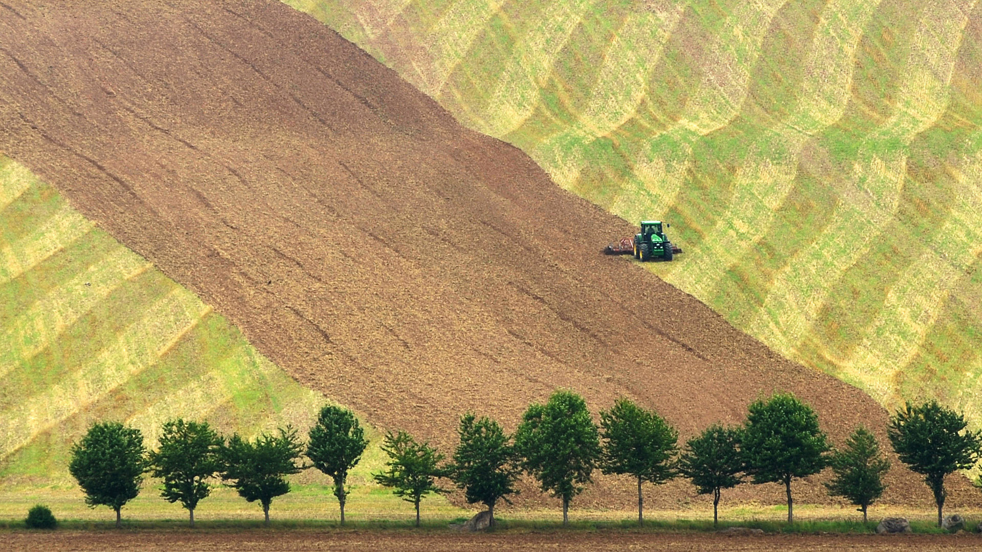 Felder mit Traktor