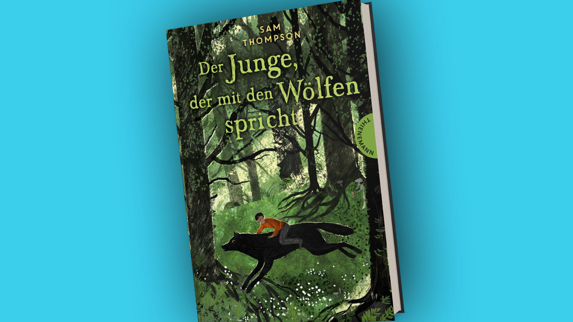 Buchcover des Buchs 