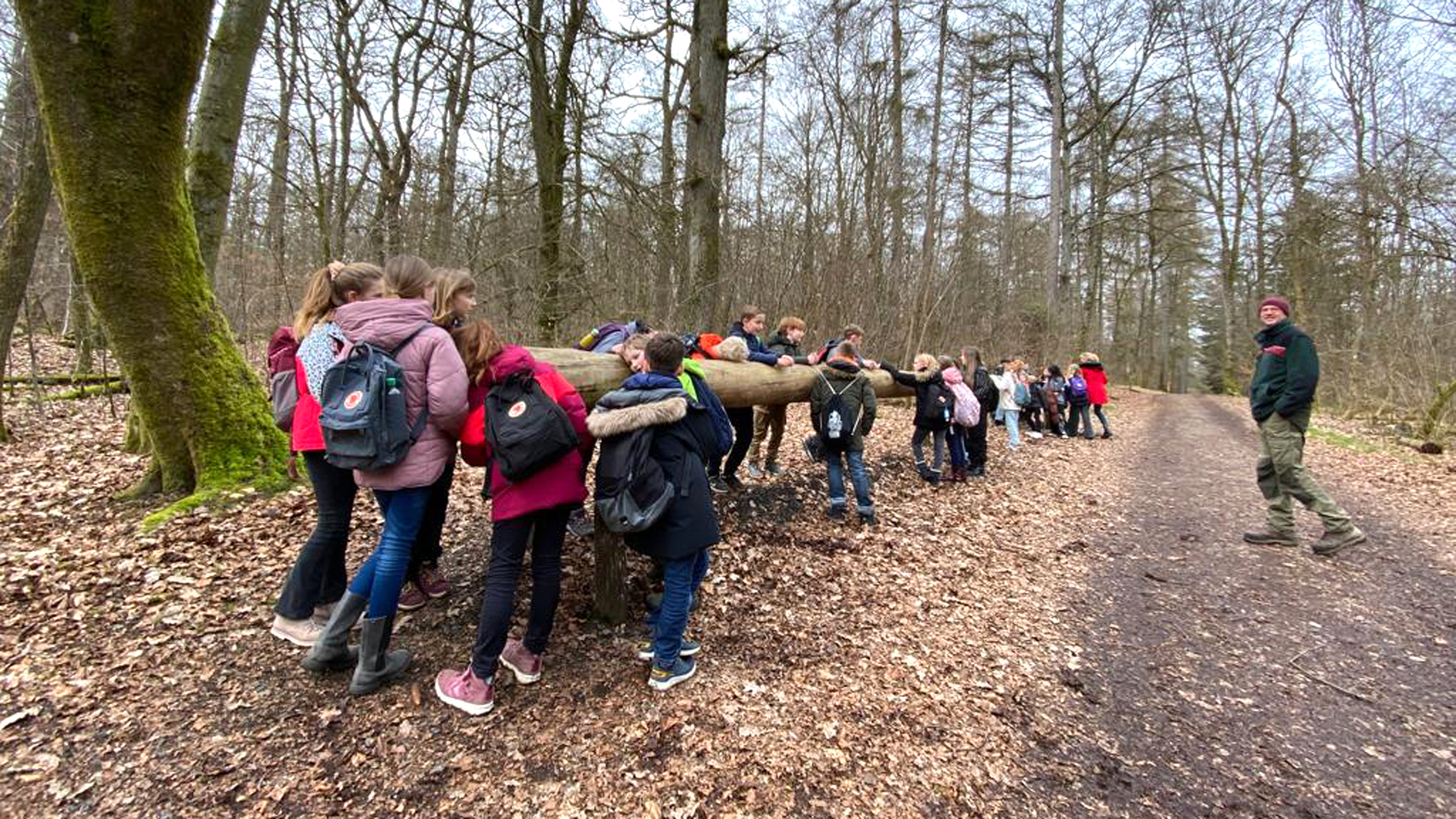 Die MausKlasse unterwegs im Erlebniswald