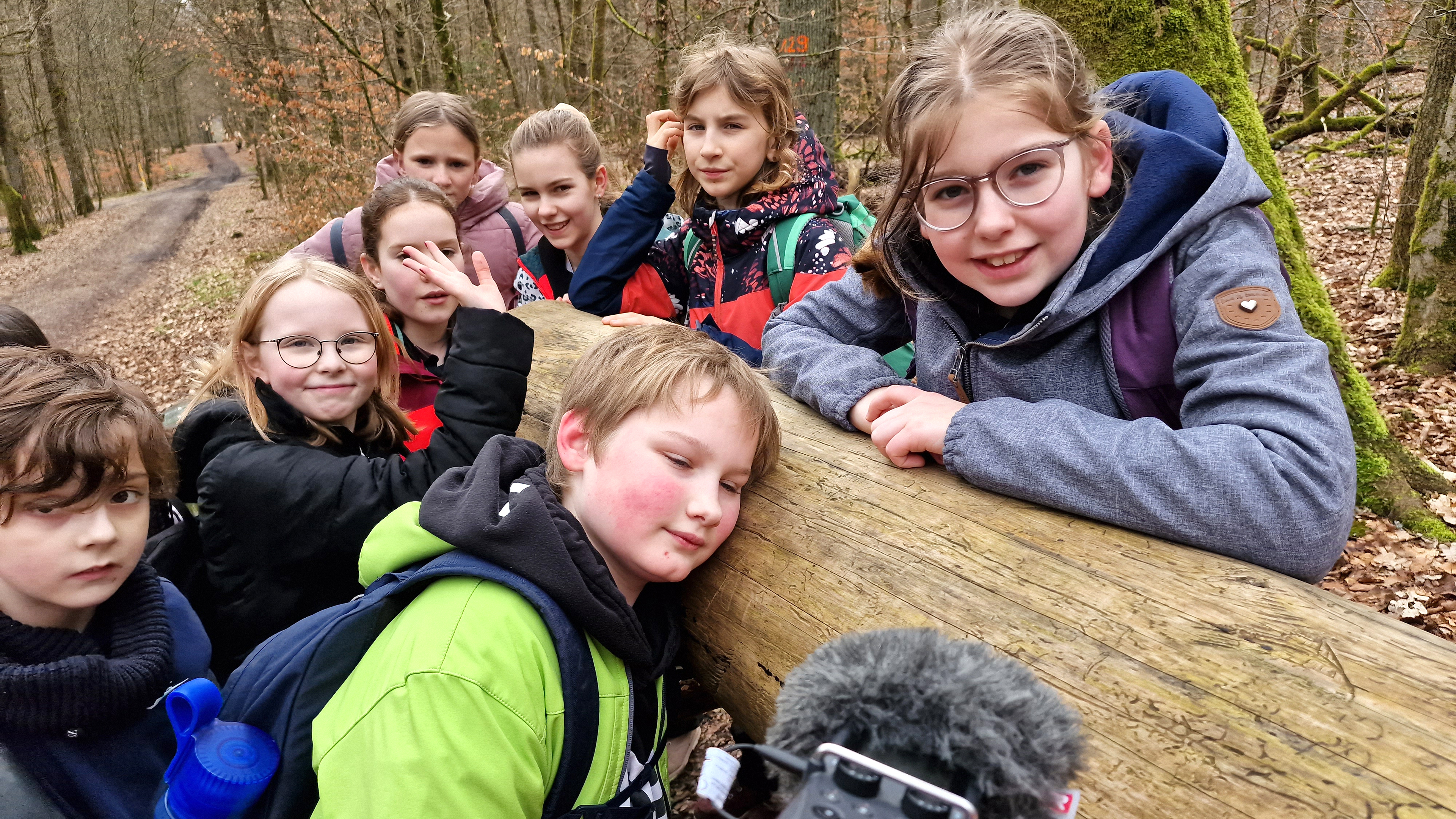 Kinder der MausKlasse aus Siegen horchen an einem Baumstamm im Erlebniswald