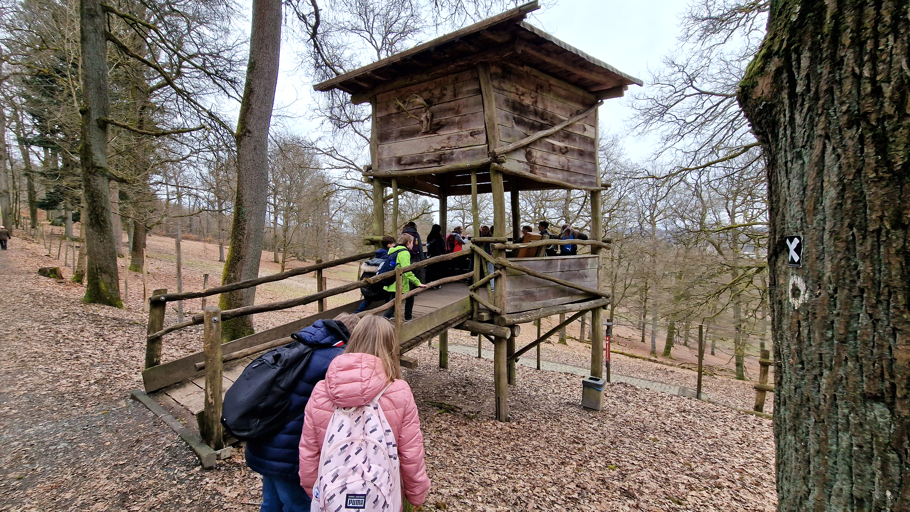 Kinder der MausKlasse klettern auf eine Aussichtsplattform im Erlebniswald