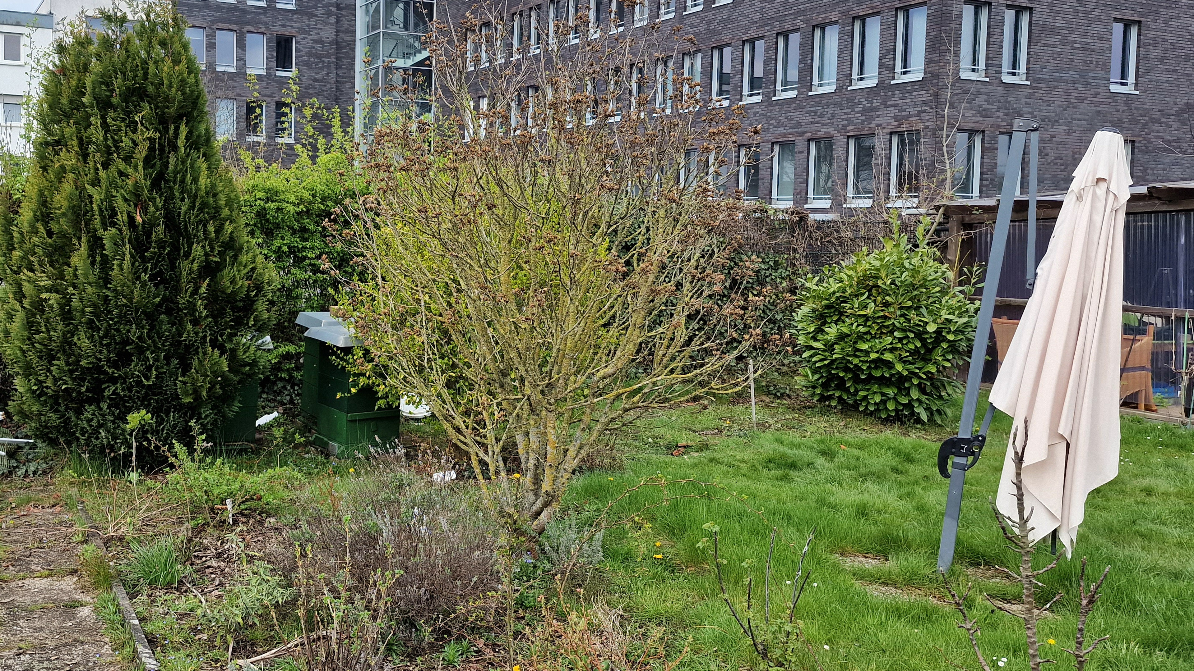 Garten mit Bienenstöcken