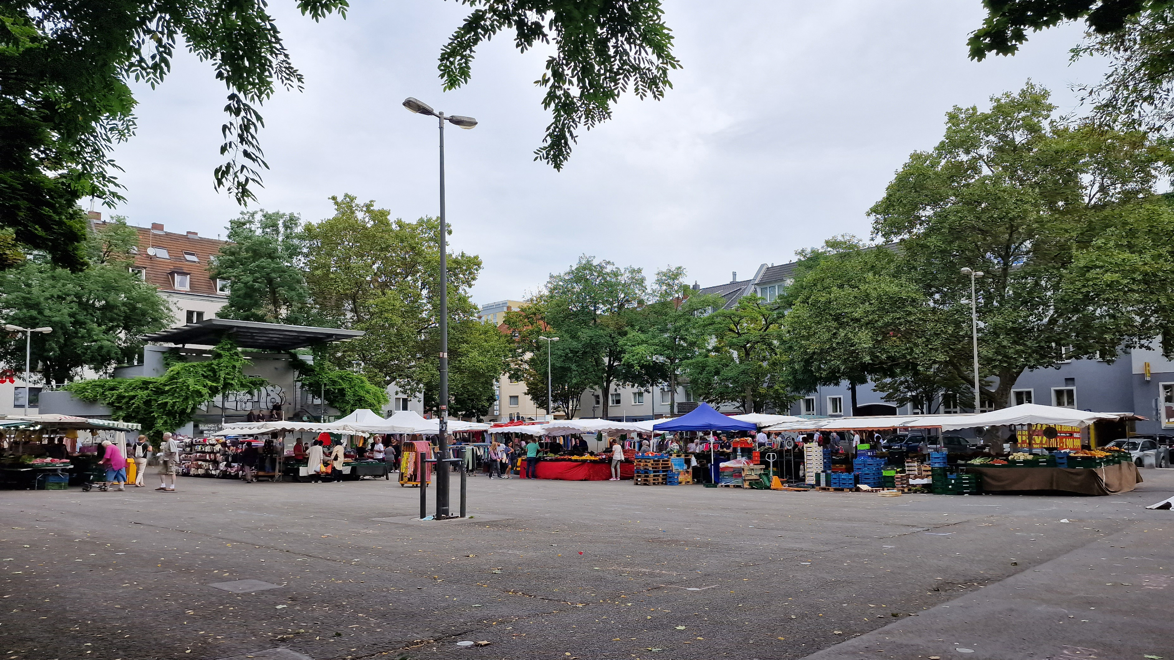 MausKlasse GGS Steinbergerstraße auf dem Wochenmarkt in Köln Nippes 