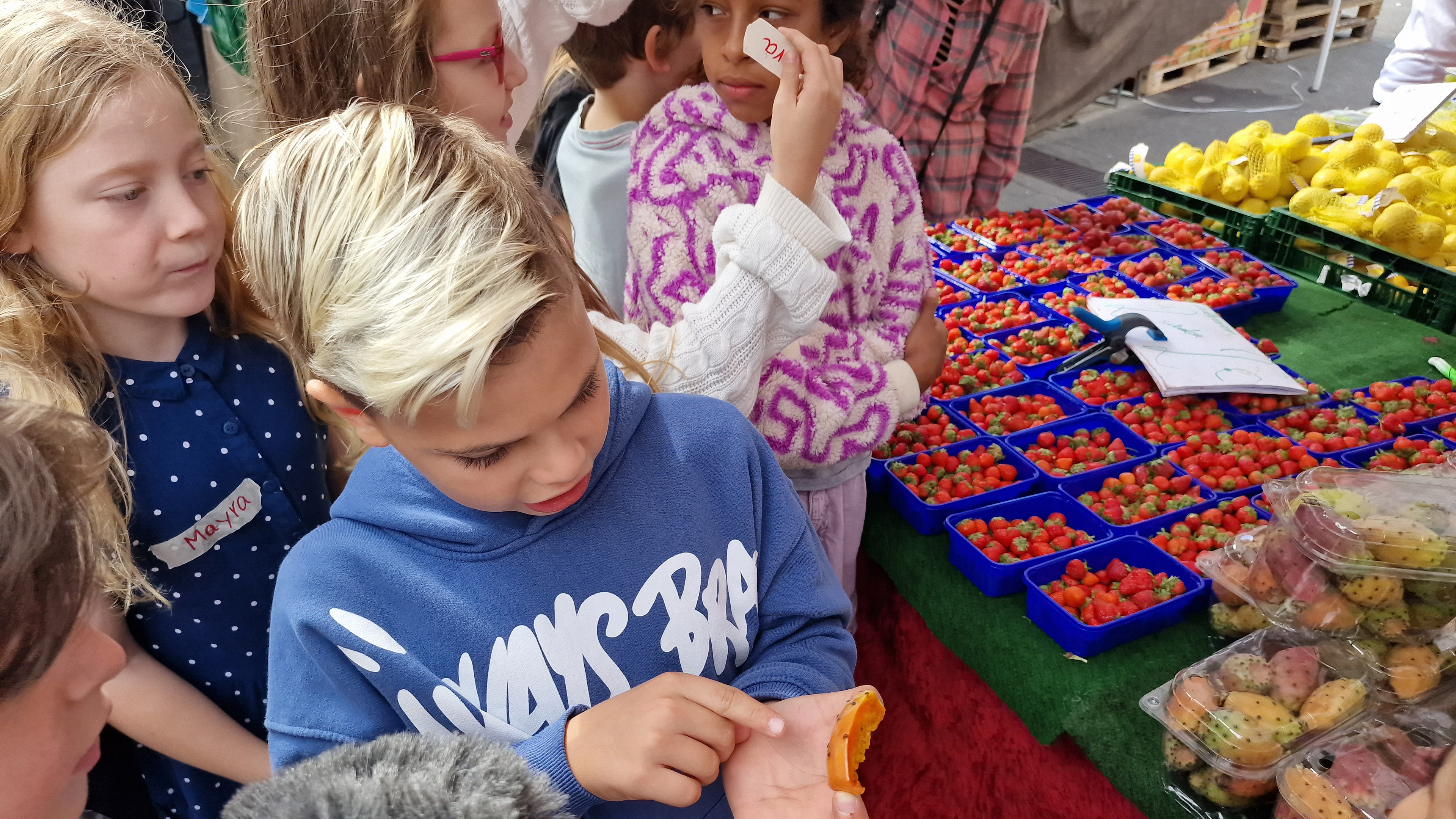 MausKlasse GGS Steinbergerstraße auf dem Wochenmarkt in Köln Nippes 