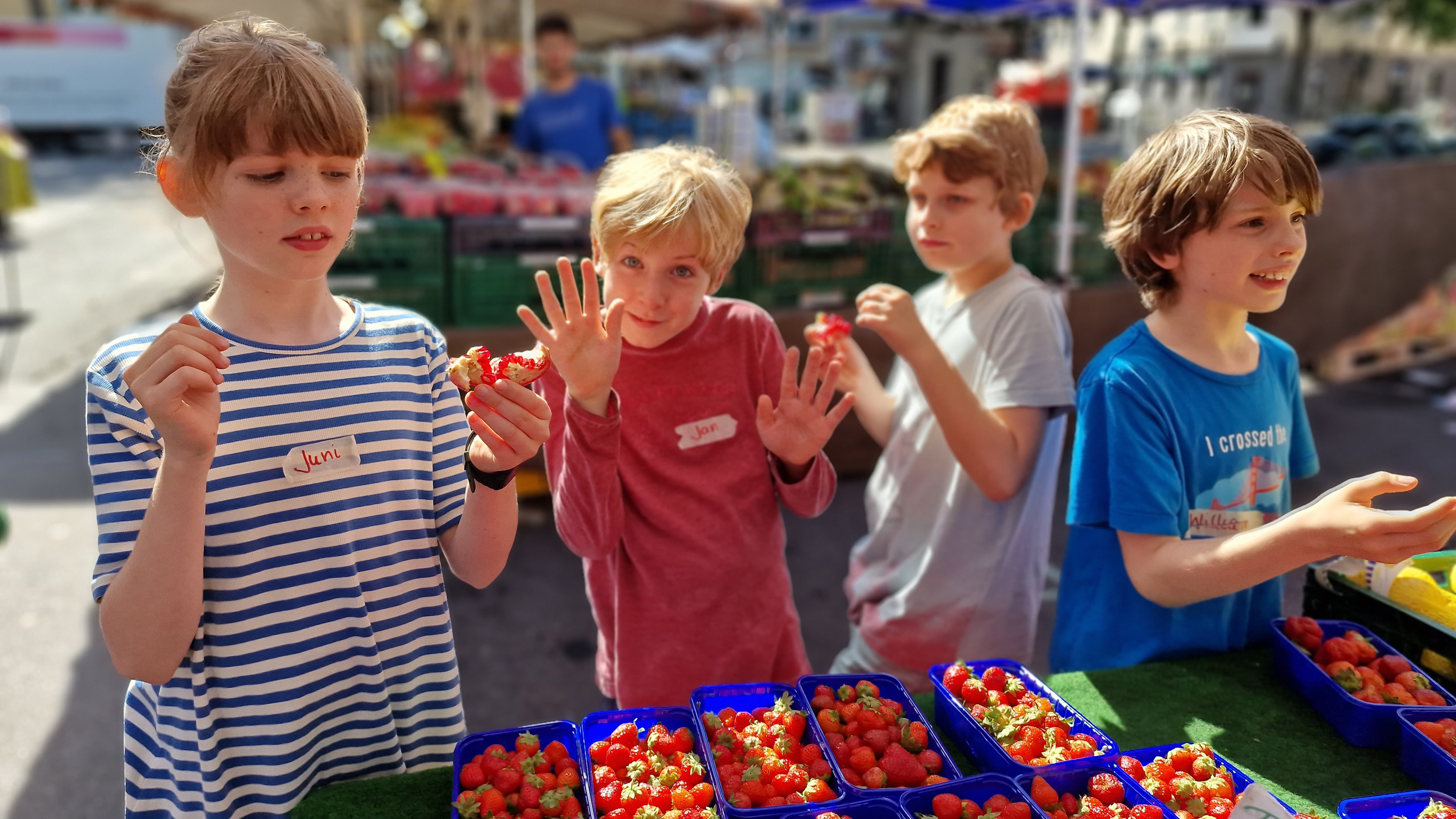 MausKlasse GGS Steinbergerstraße auf dem Wochenmarkt in Köln Nippes 