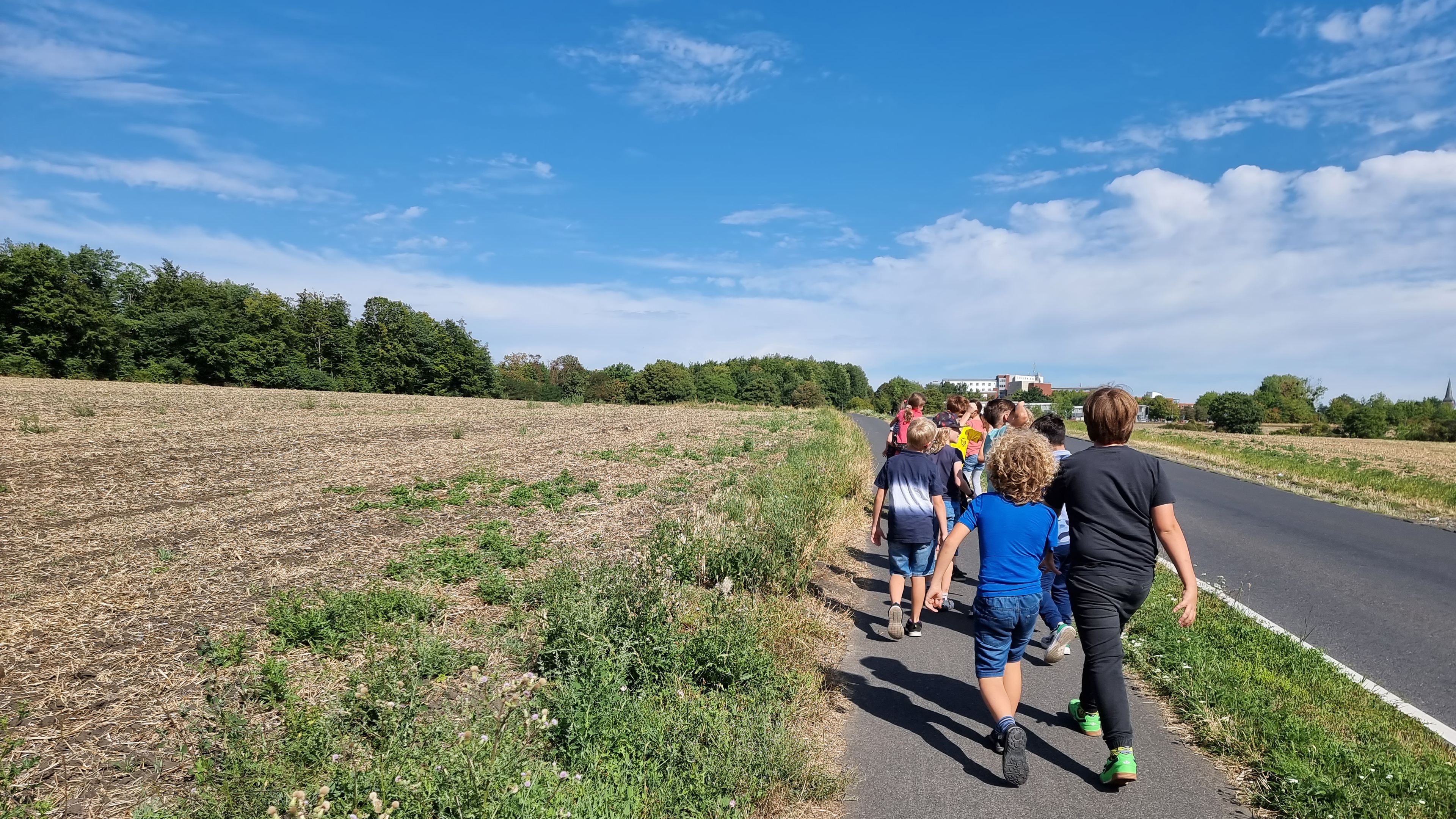 Reportage MausKlasse Brühl, Campingplatz Heider Bergsee