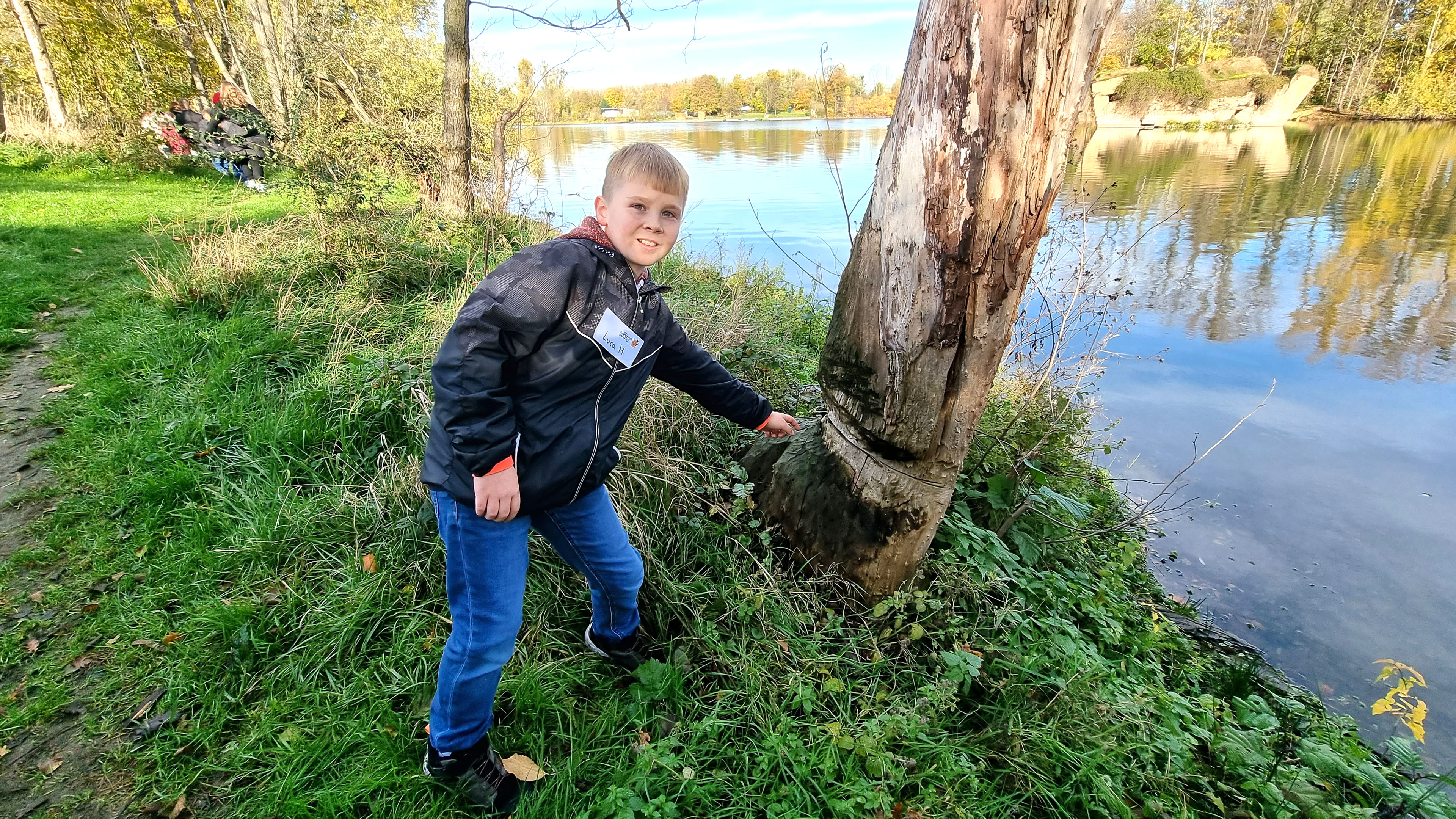 Junge zeigt Biber-Nagespuren an einem Baum