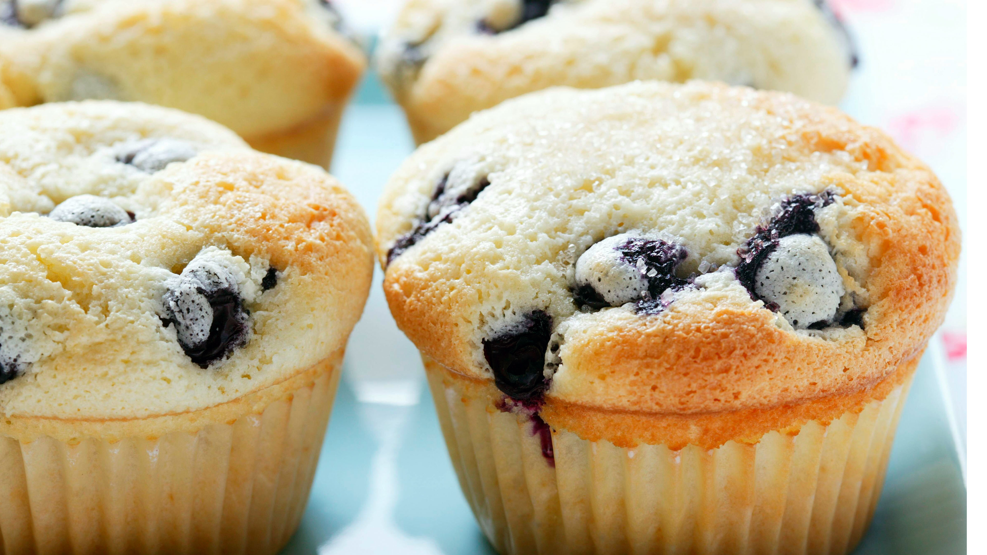 Muffins mit Blaubeern