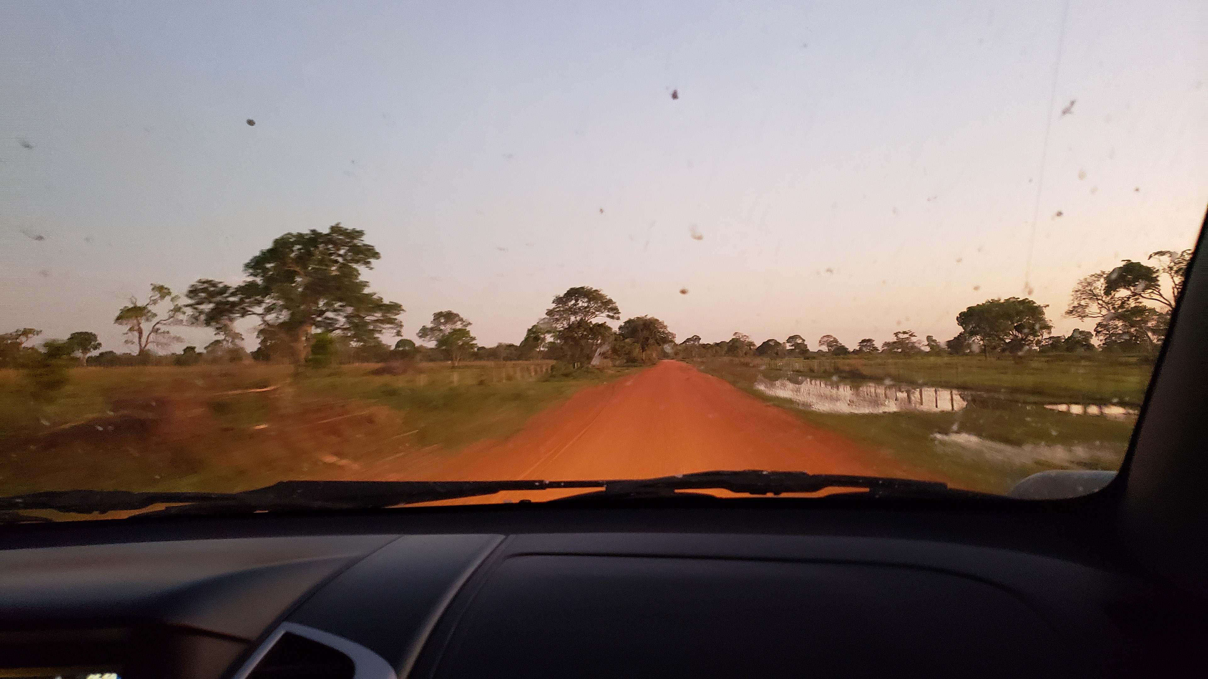 Blick aus der Frontscheibe auf die Natur des Pantanal