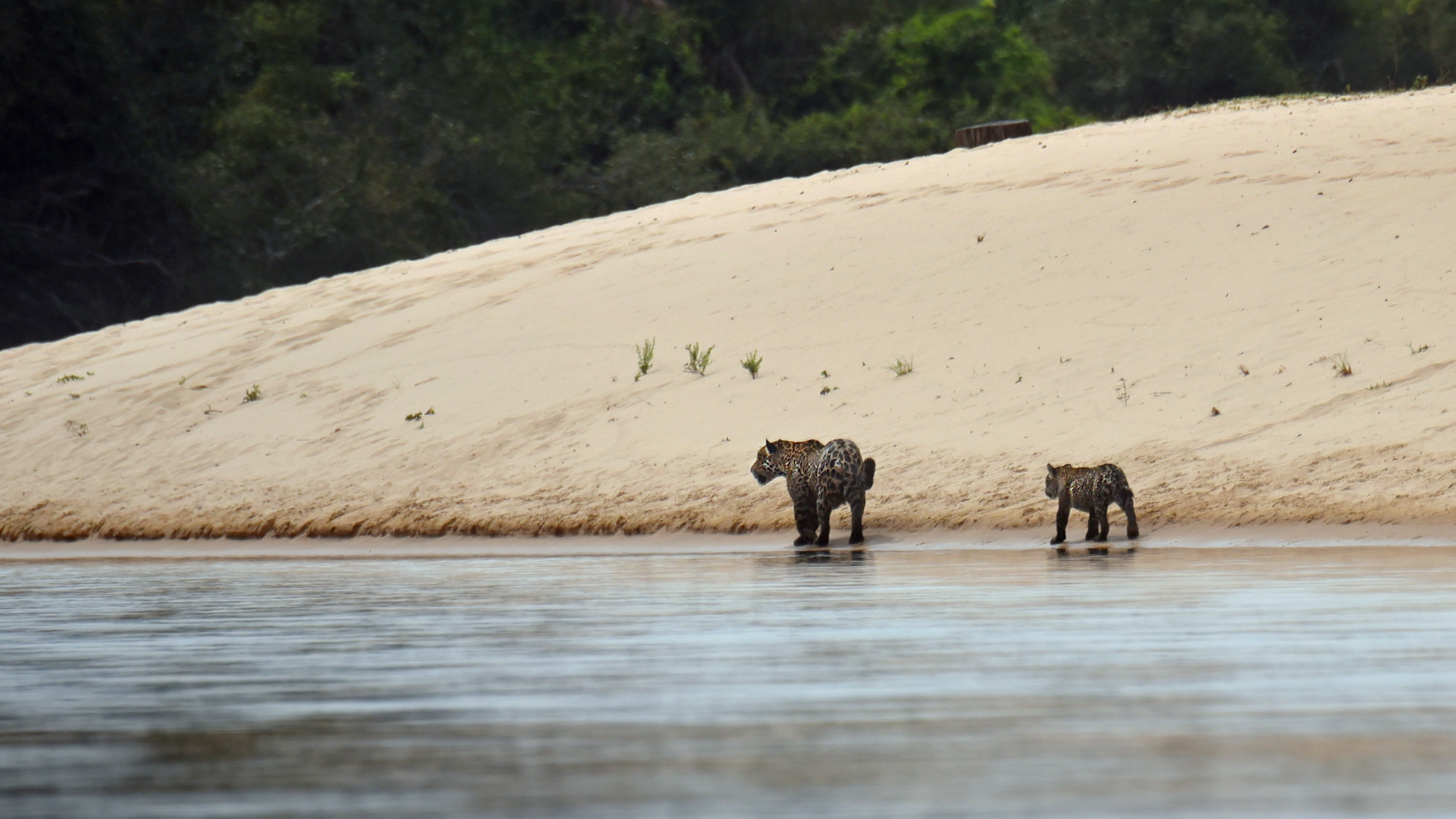 Auf dem Fluss im Pantanal, WDR / Lydia Möcklinghoff