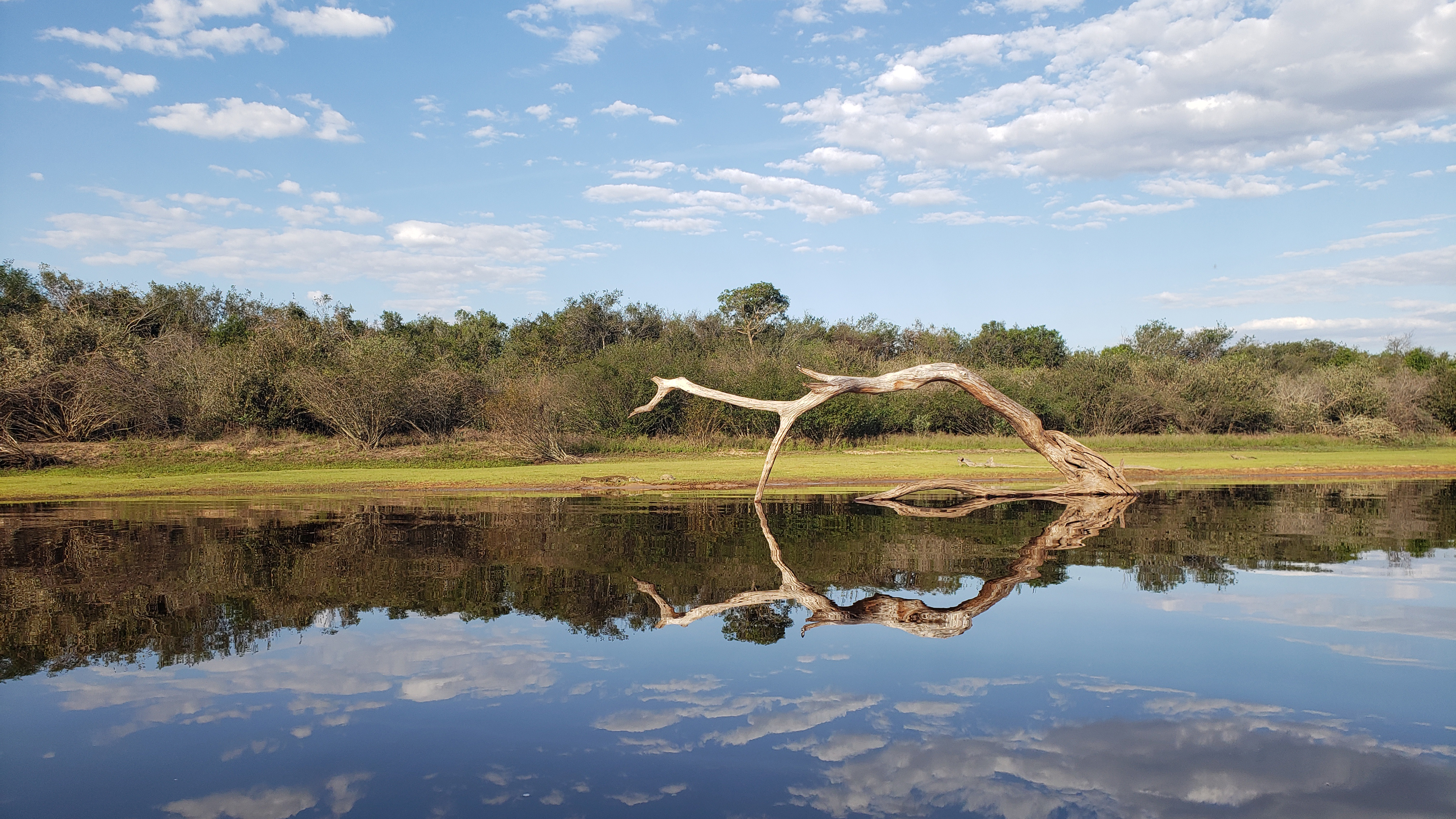 Pantanal Fluss