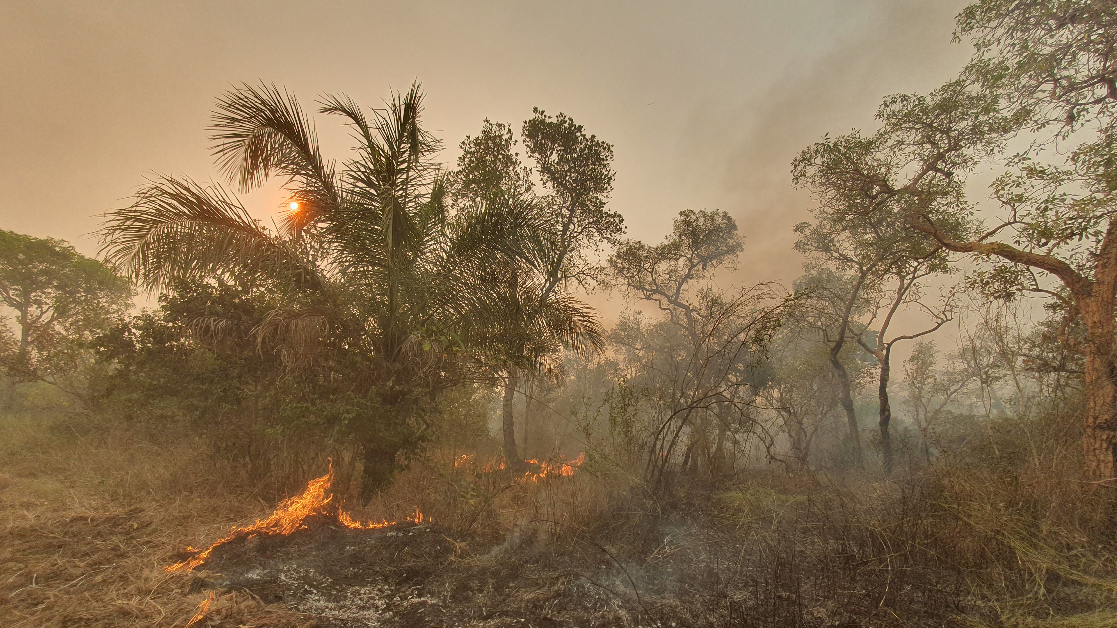 Buschfeuer im Pantanal