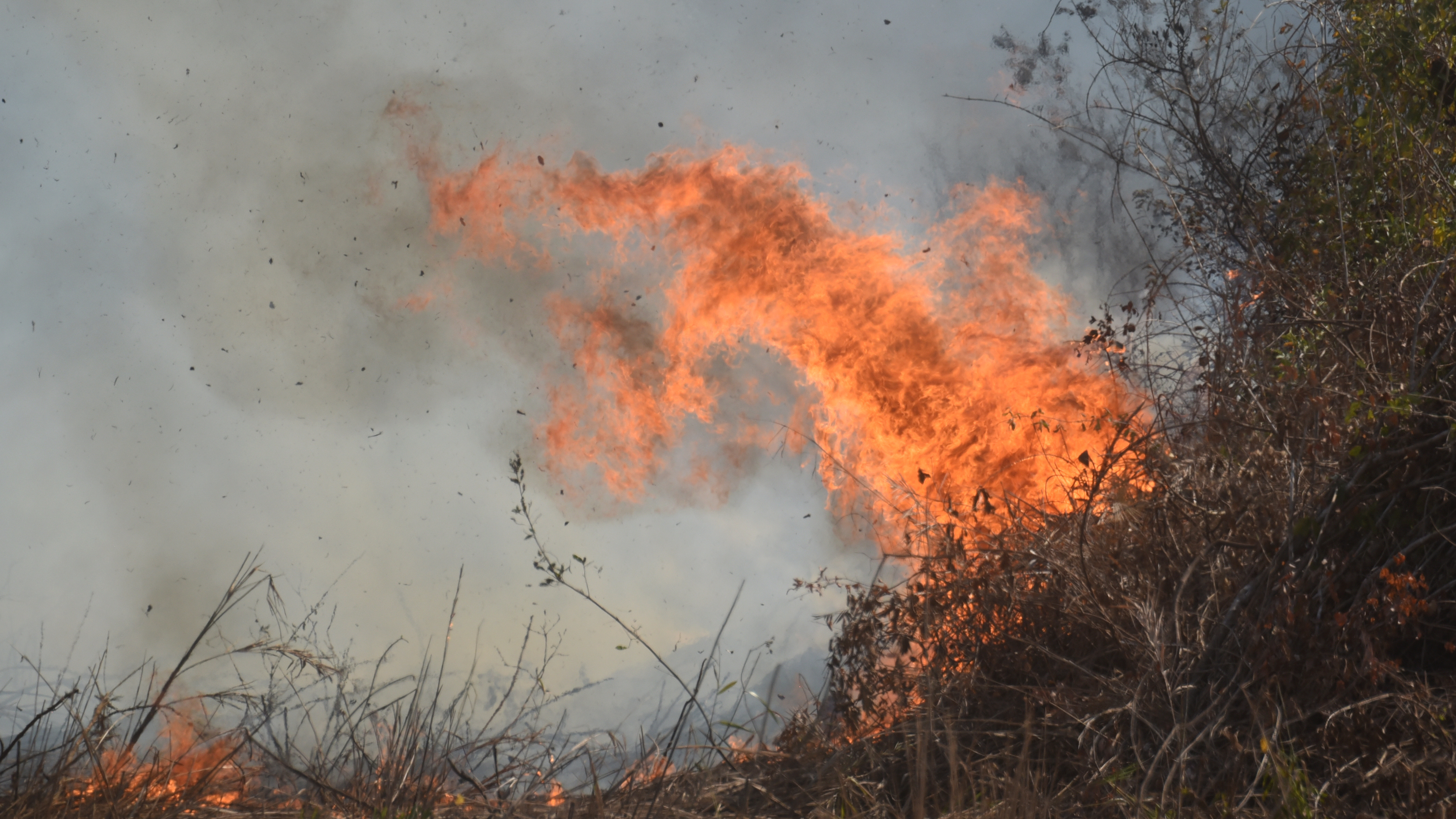 Riesige Flamme beim Buschbrand