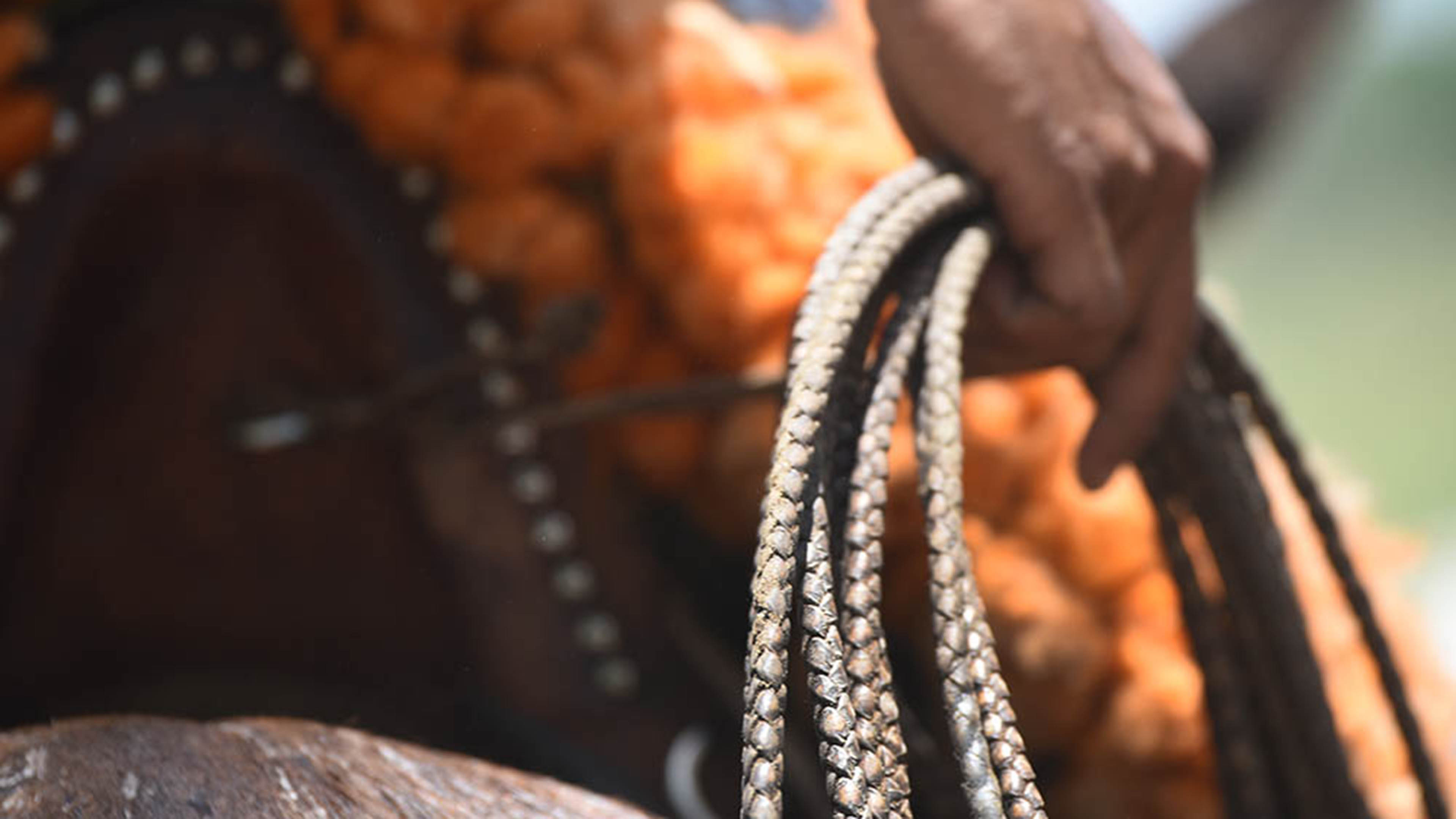 Lasso eines Cowboys