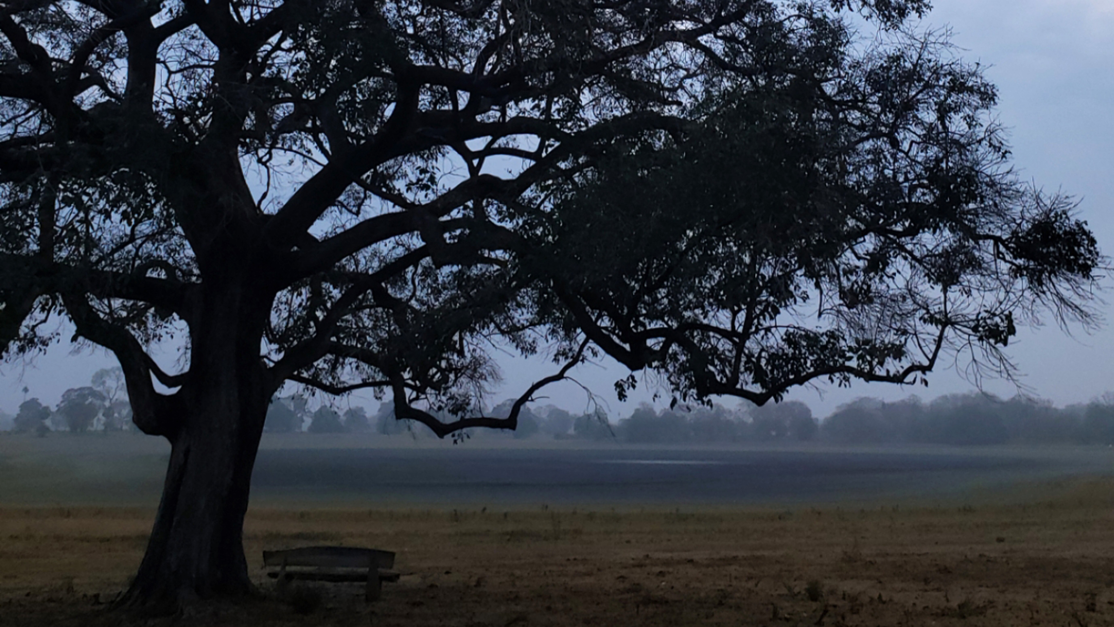 Dunkler Himmel überm See vor dem Unwetter im Pantanal