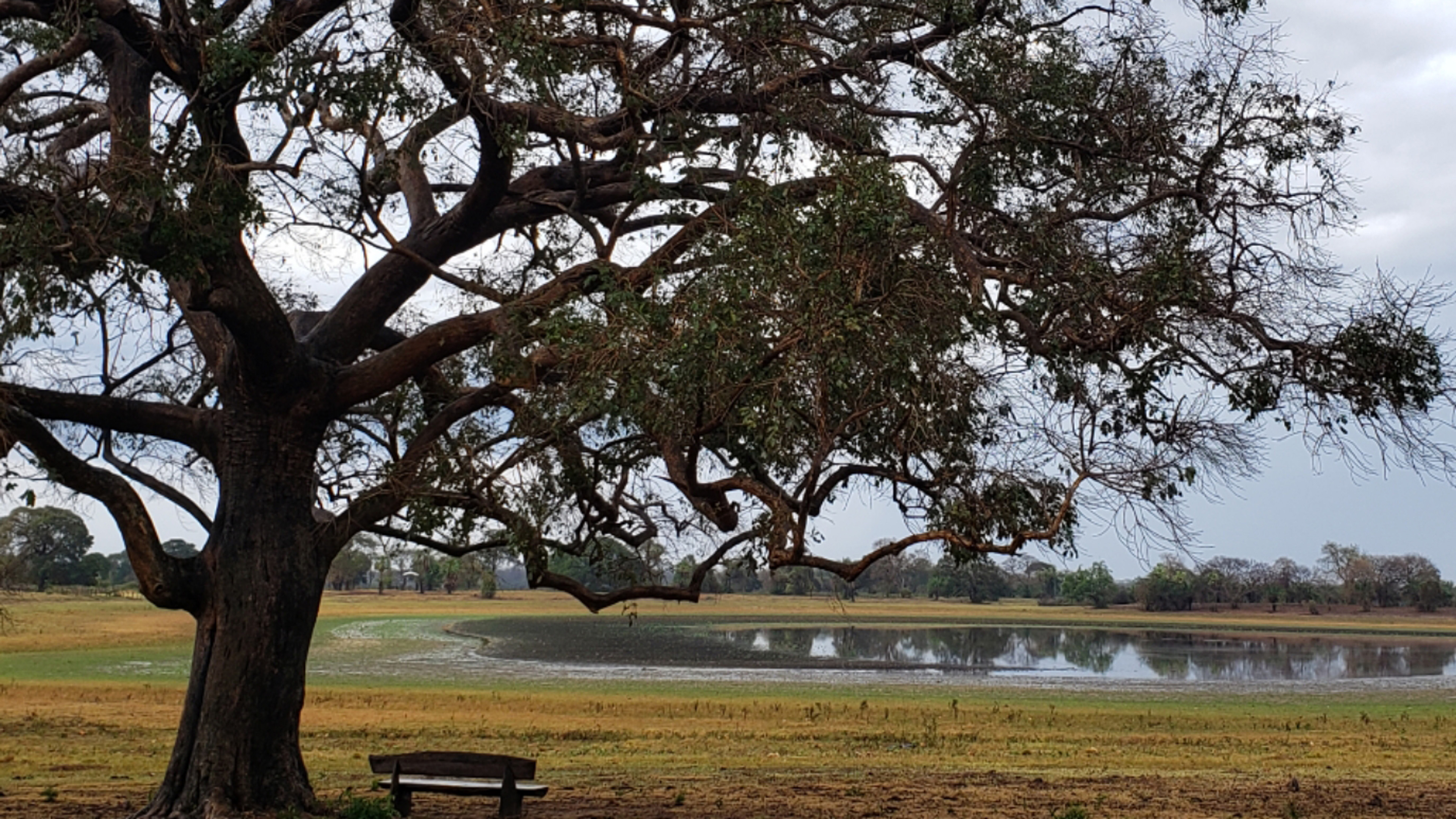 See nach dem Unwetter im Pantanal