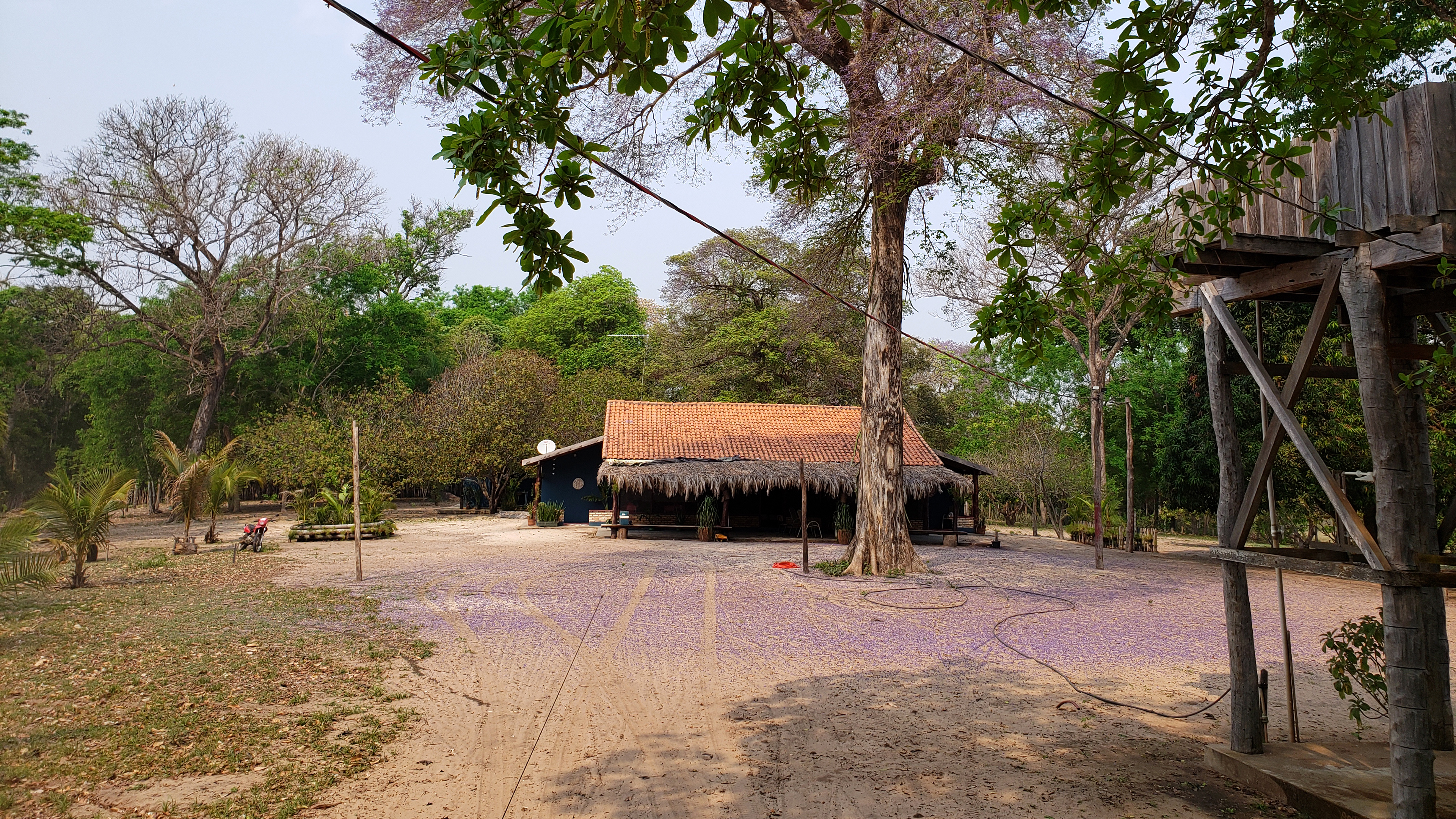 Kleine Schule im Pantanal